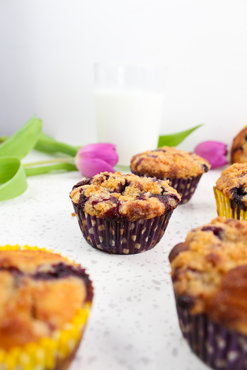 These muffins are full of juicy blueberries, tender, fluffy, and have a sweet streusel topping that makes them the best blueberry muffins you will ever find.